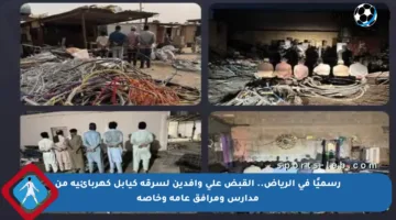 رسميًا في الرياض.. القبض على وافدين لسرقة كيابل كهربائية من مدارس ومرافق عامة وخاصة